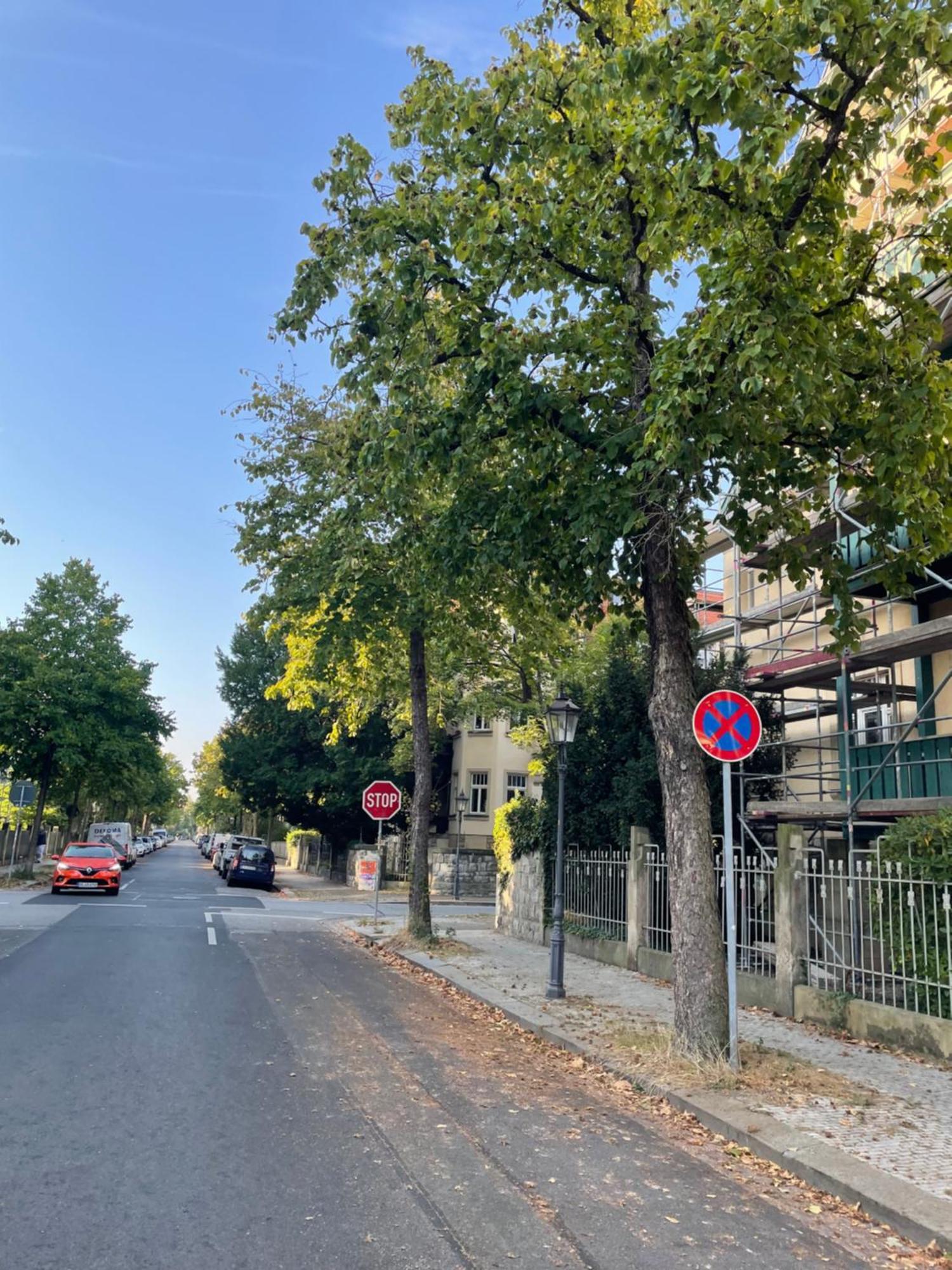 Toni Charming Apartment Im Idyllischem Villenviertel Mit Netflix Drezno Zewnętrze zdjęcie